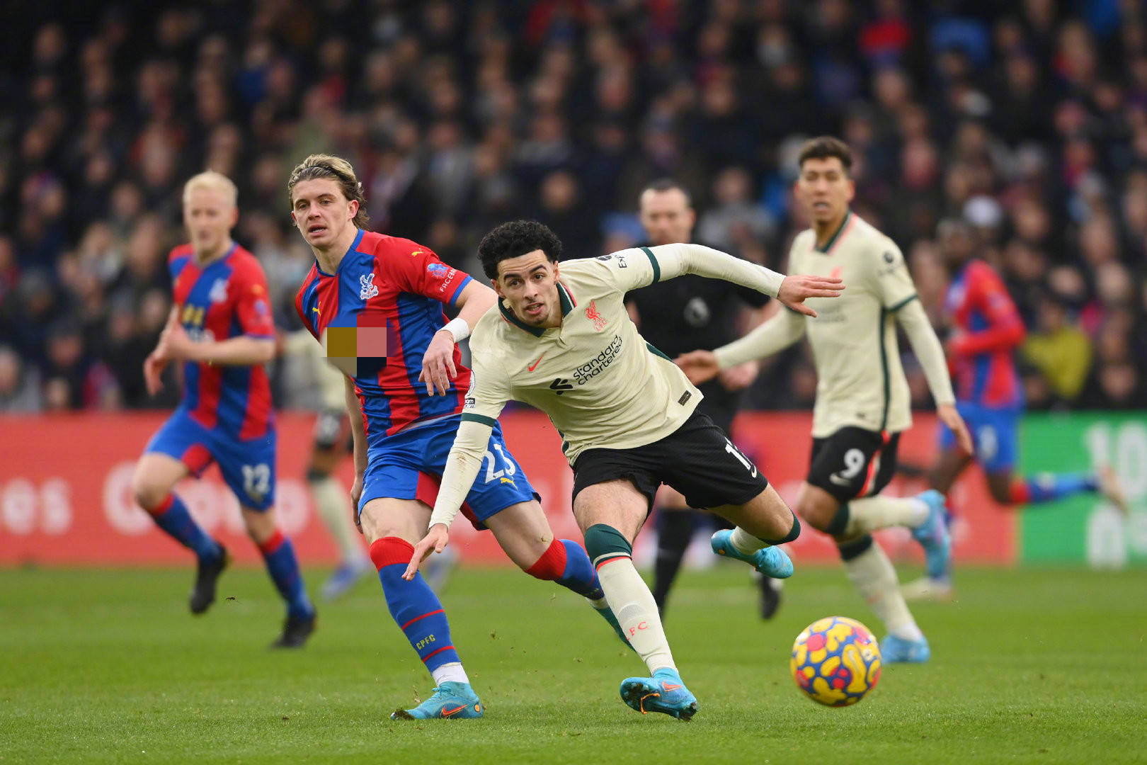 带来了新的 带来了新的